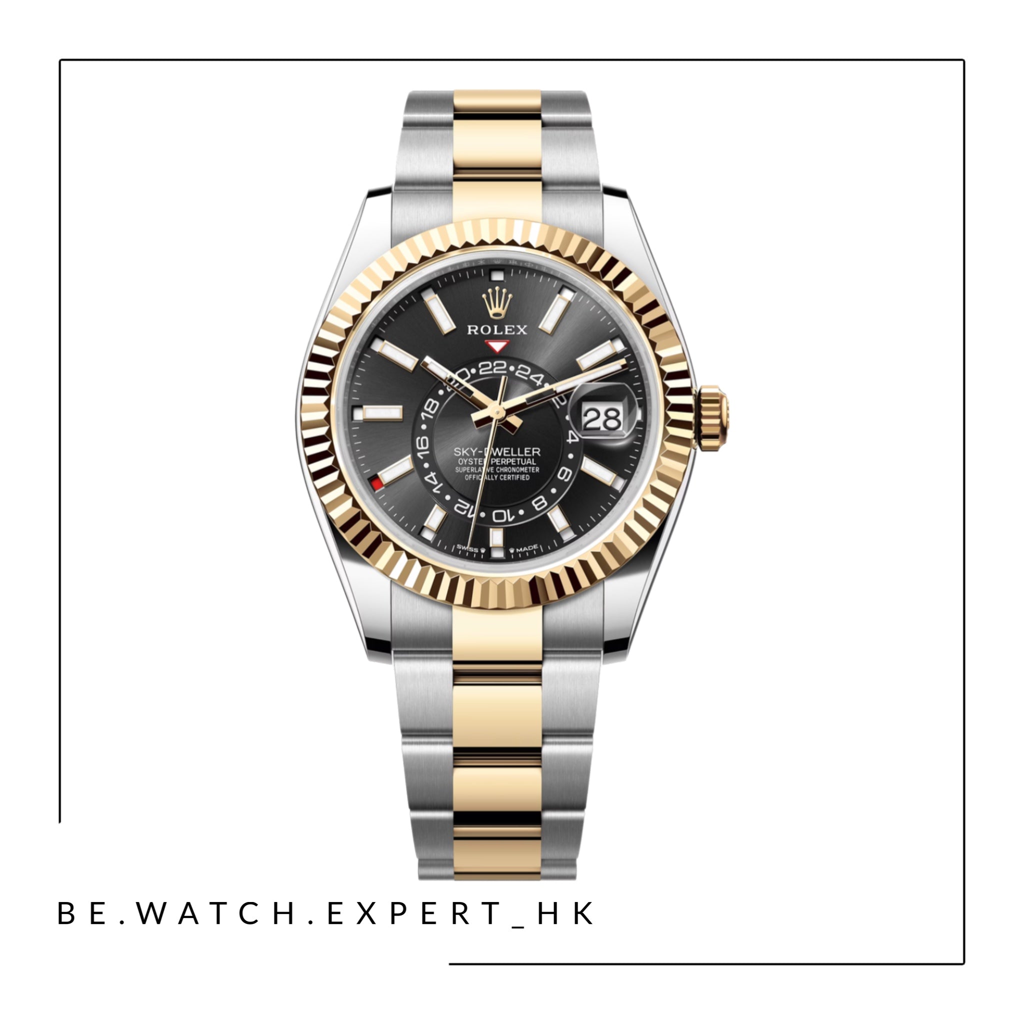 SKY-DWELLER - 336933