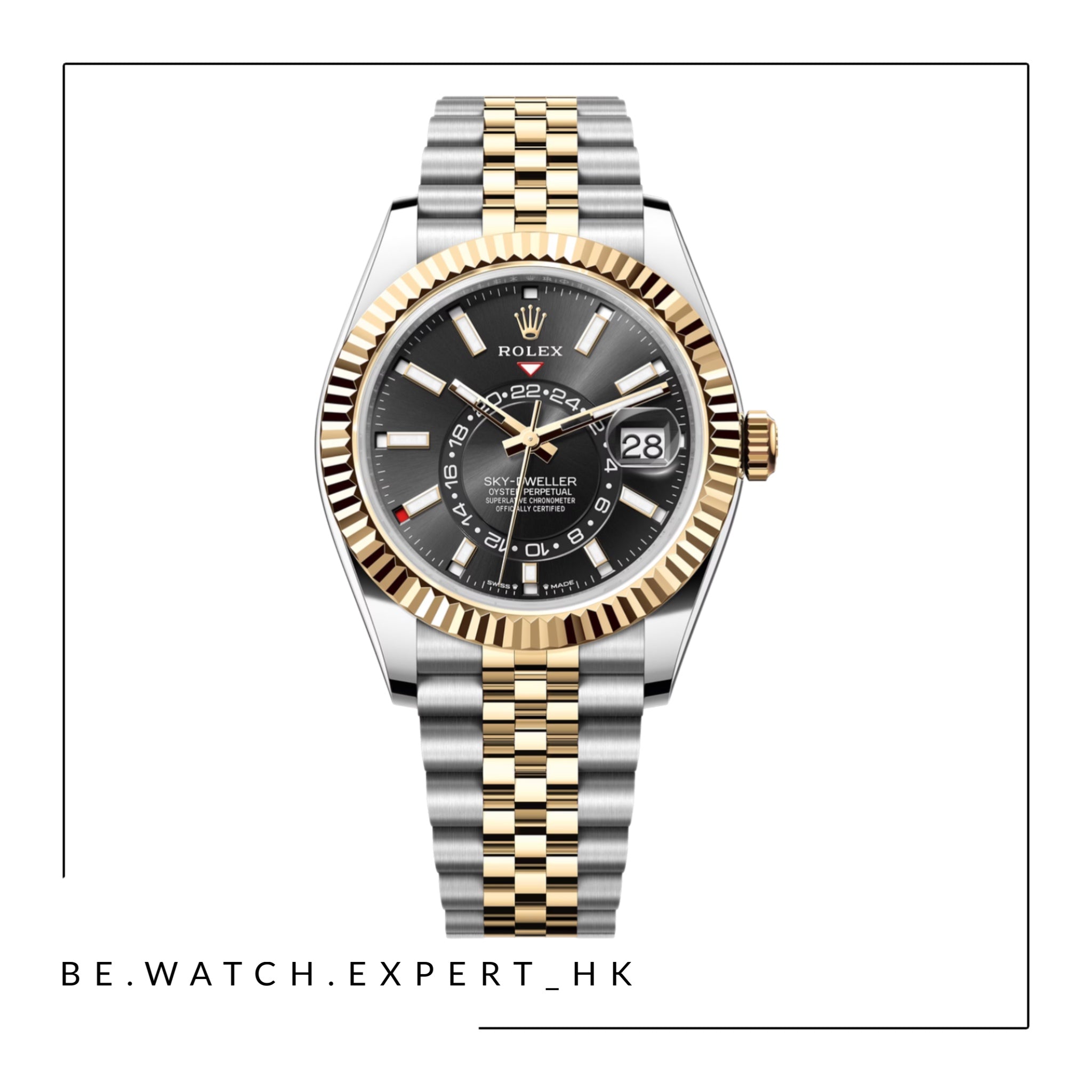 SKY-DWELLER - 336933